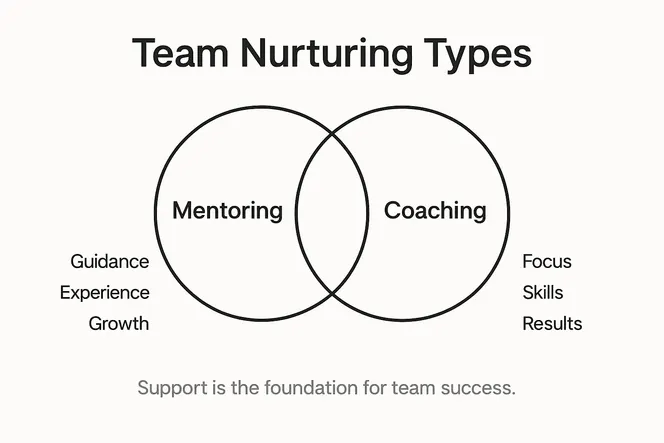 Infographic showing mentoring coaching support types
